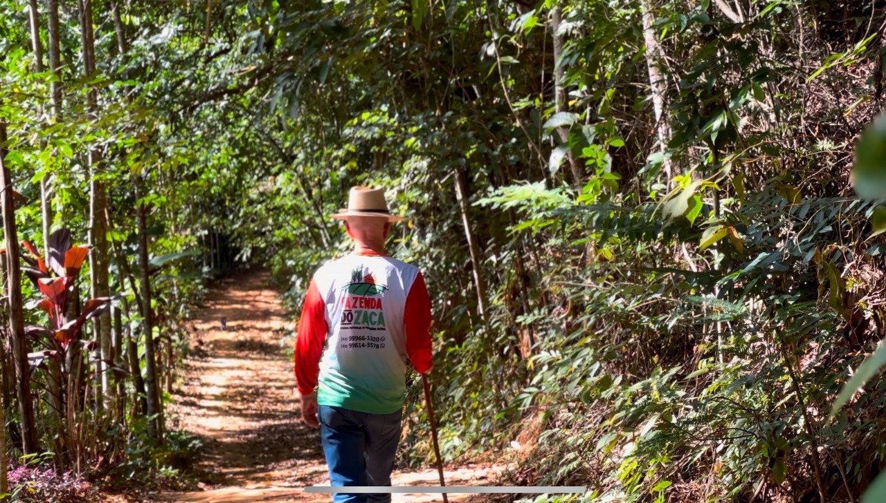 Carnaval promete movimentar economia de Ipatinga