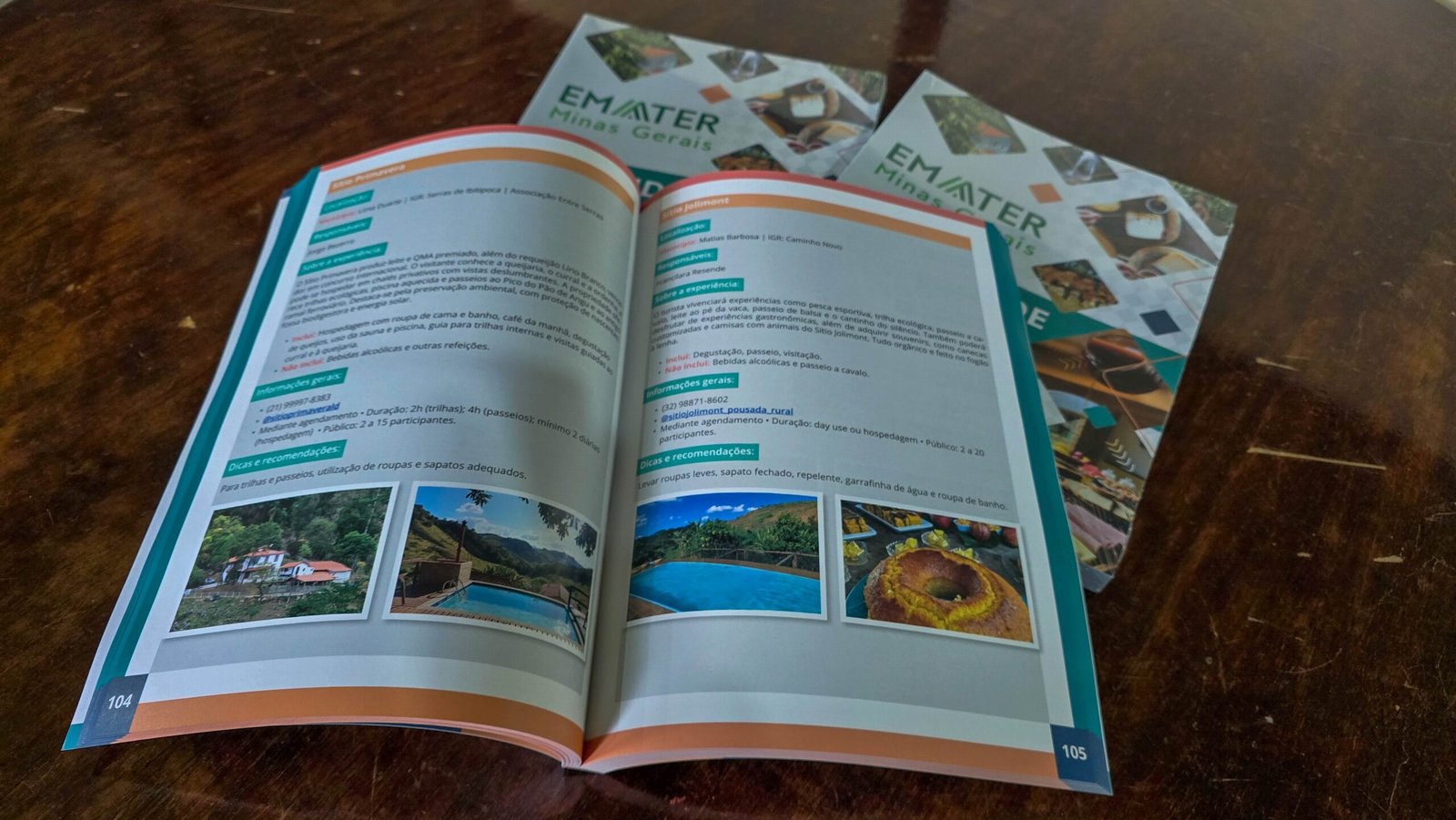 Novo catálogo de turismo rural em Minas traz roteiros da Mata Atlântica e quase dobra número de experiências