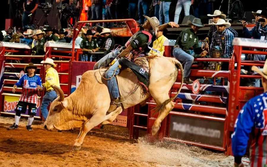 Rodeio de Santana é neste final de semana