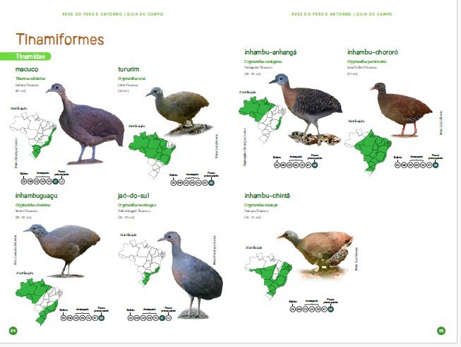 Novo Guia de Campo destaca as aves do Parque Estadual do Rio Doce